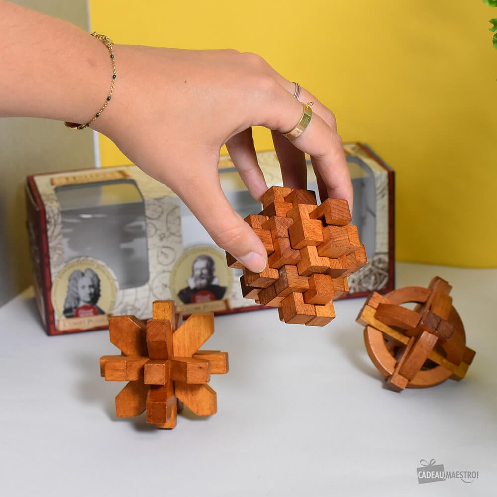 Set de Casse-Tête Grands Esprits (x3) - Casse-Tête Professor Puzzle