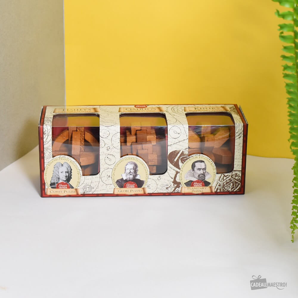 Set de Casse-Tête Grands Esprits (x3) - Casse-Tête Professor Puzzle