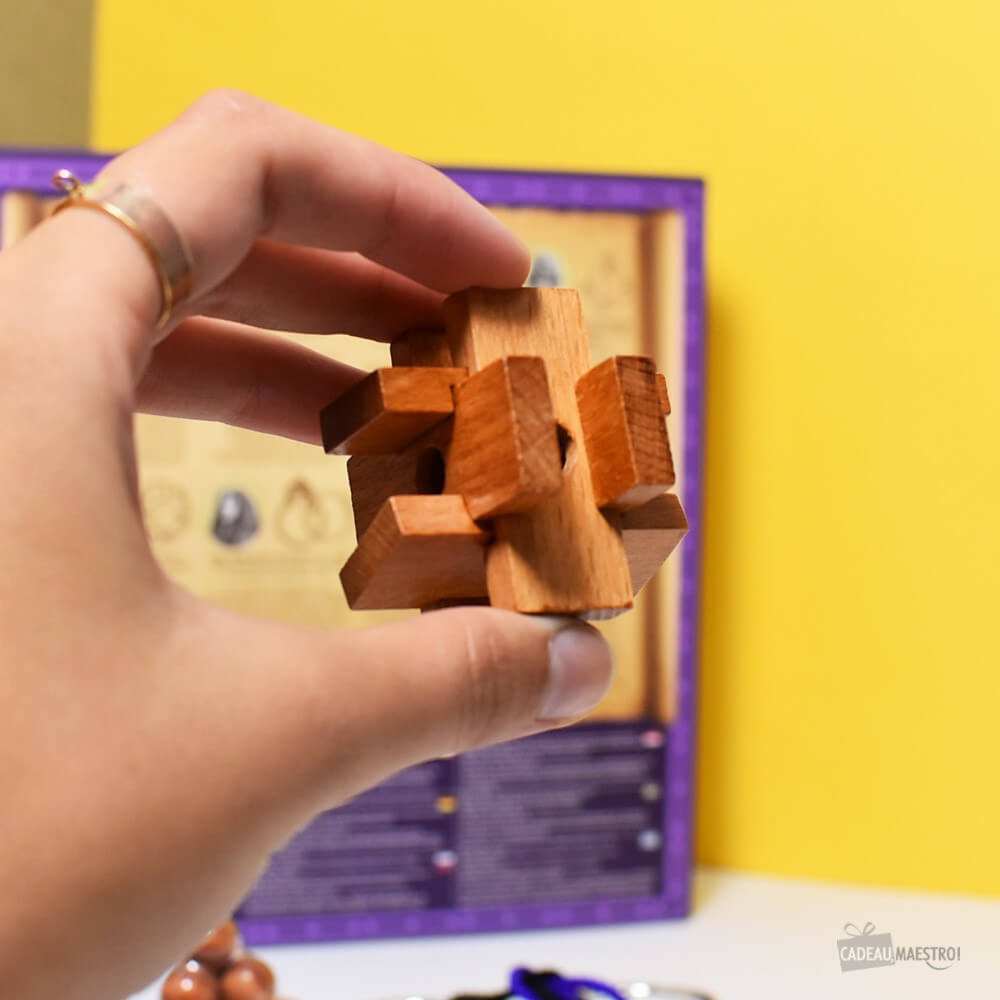 Set de Casse-Tête Grands Esprits (x8) - Casse-Tête Professor Puzzle