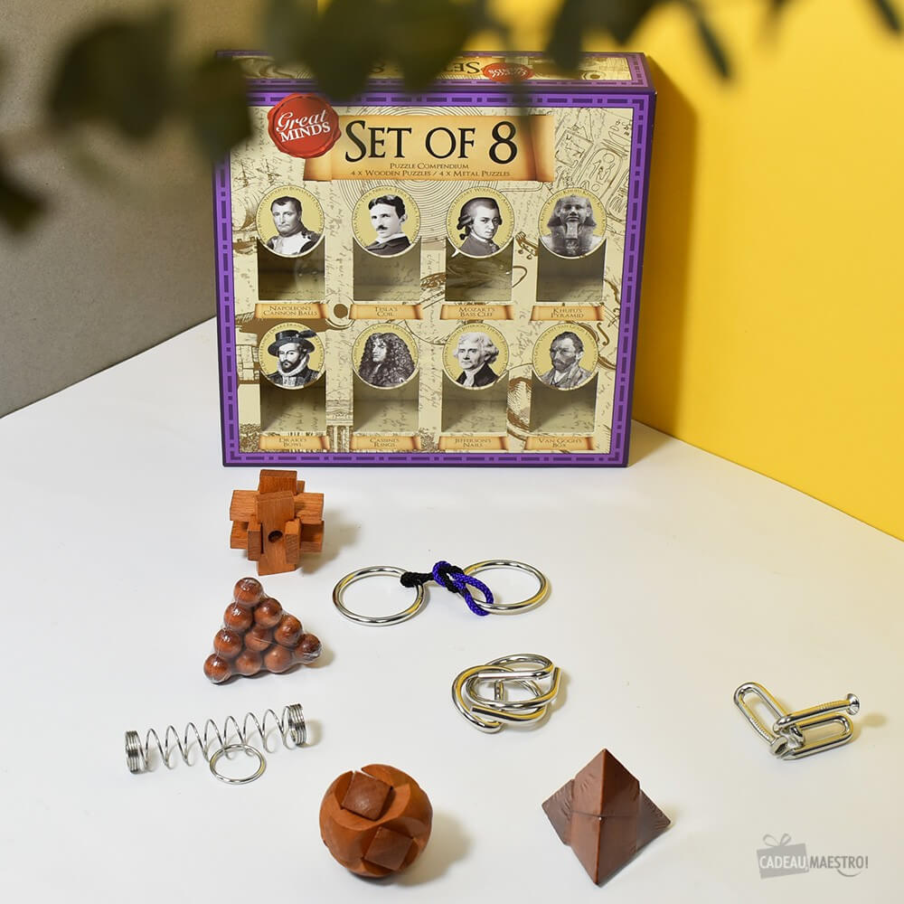 Set de Casse-Tête Grands Esprits (x8) - Casse-Tête Professor Puzzle