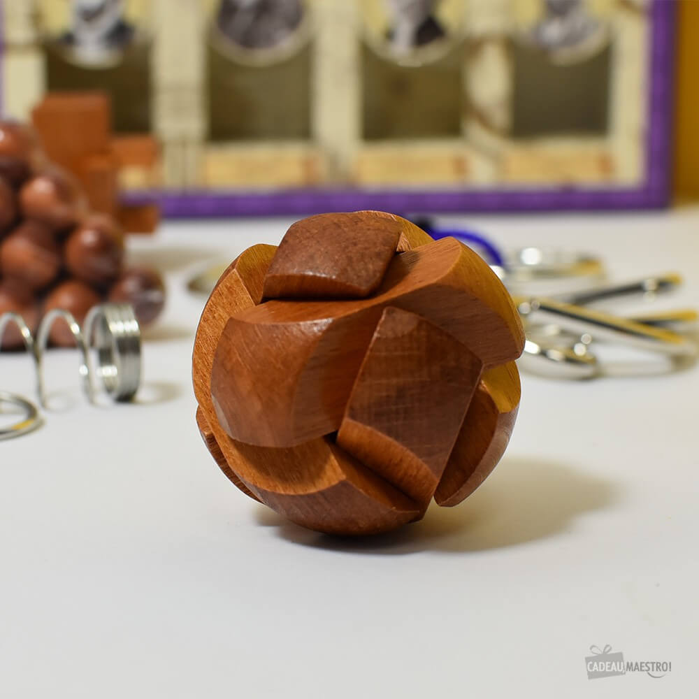 Set de Casse-Tête Grands Esprits (x8) - Casse-Tête Professor Puzzle
