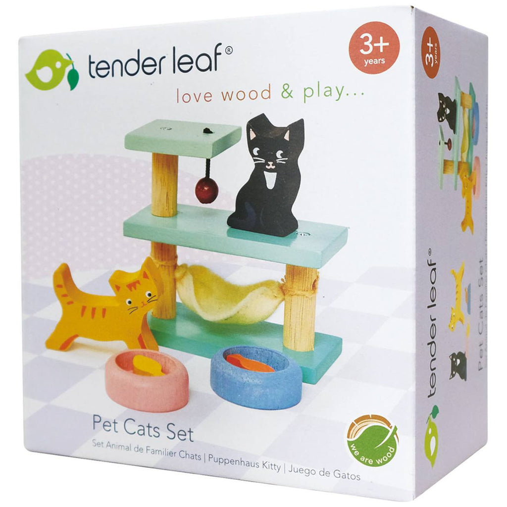 Set chats et arbre à chats multicolore