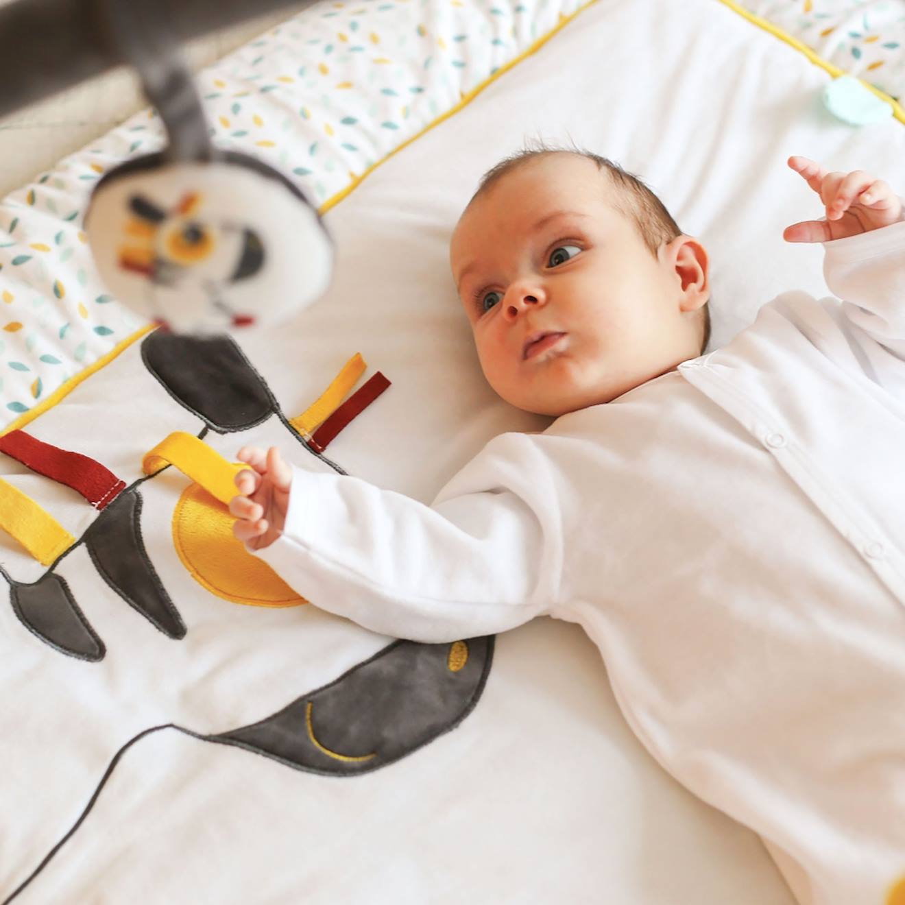 Tapis d'éveil pour bébé collection koala et sa tribu gris
