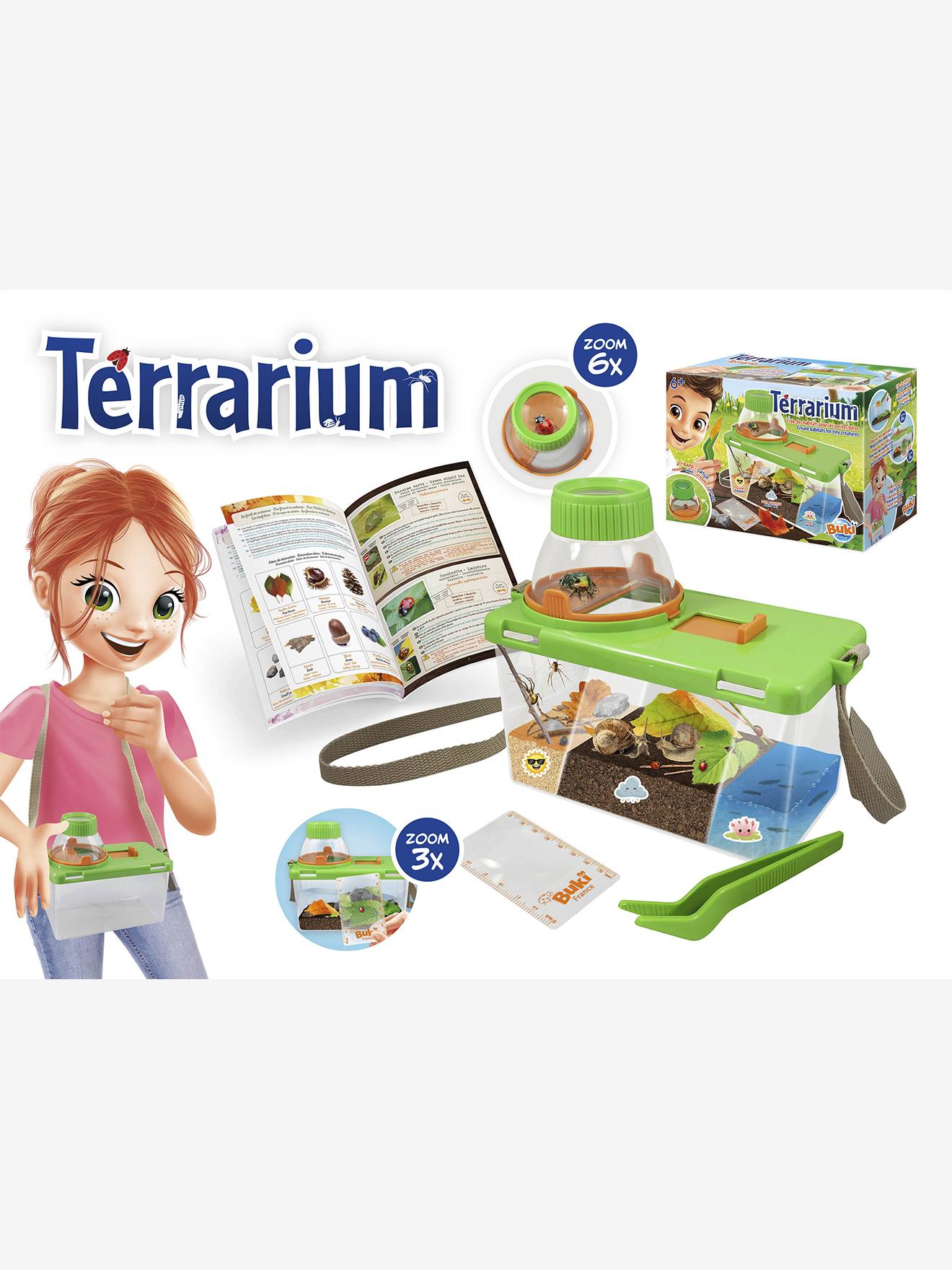 Terrarium vert
