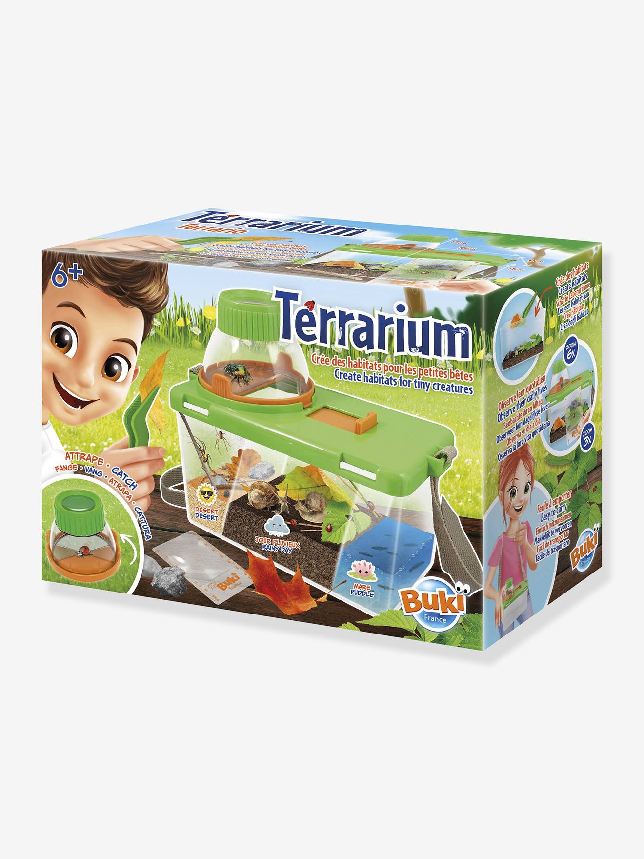 Terrarium vert
