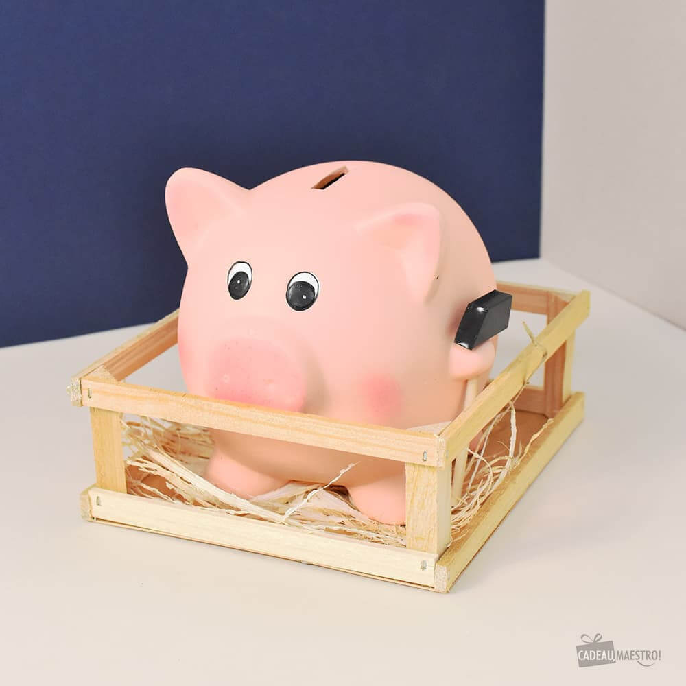 Tirelire à Casser Cochon - Tirelire Originale CadoMaestro