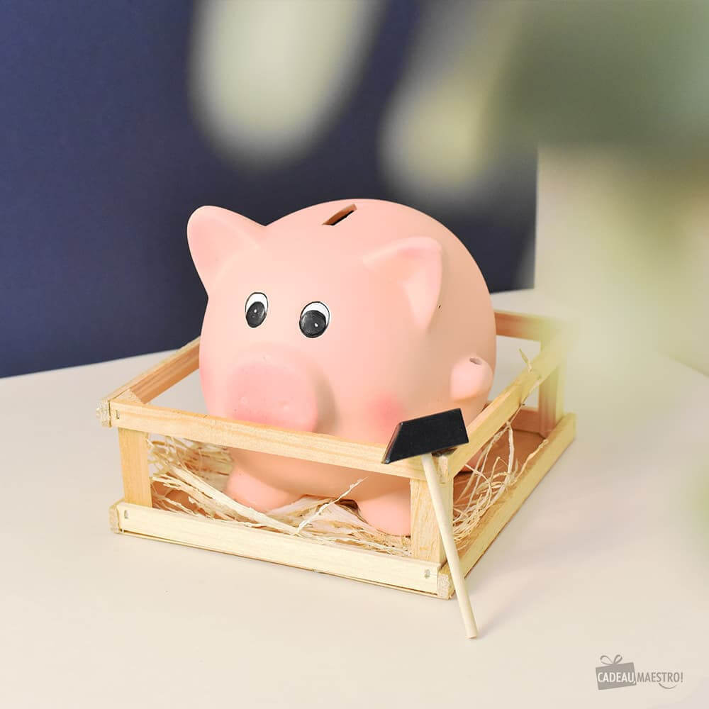 Tirelire à Casser Cochon - Tirelire Originale CadoMaestro