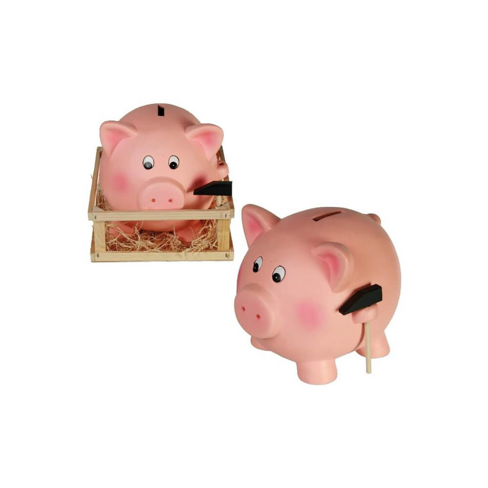 Tirelire à Casser Cochon - Tirelire Originale CadoMaestro