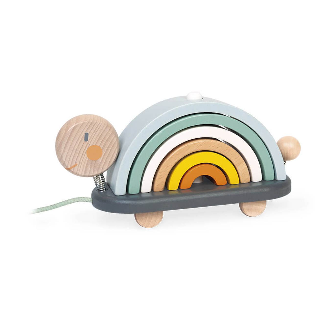 Tortue arc-en-ciel sweet cocoon multicolore