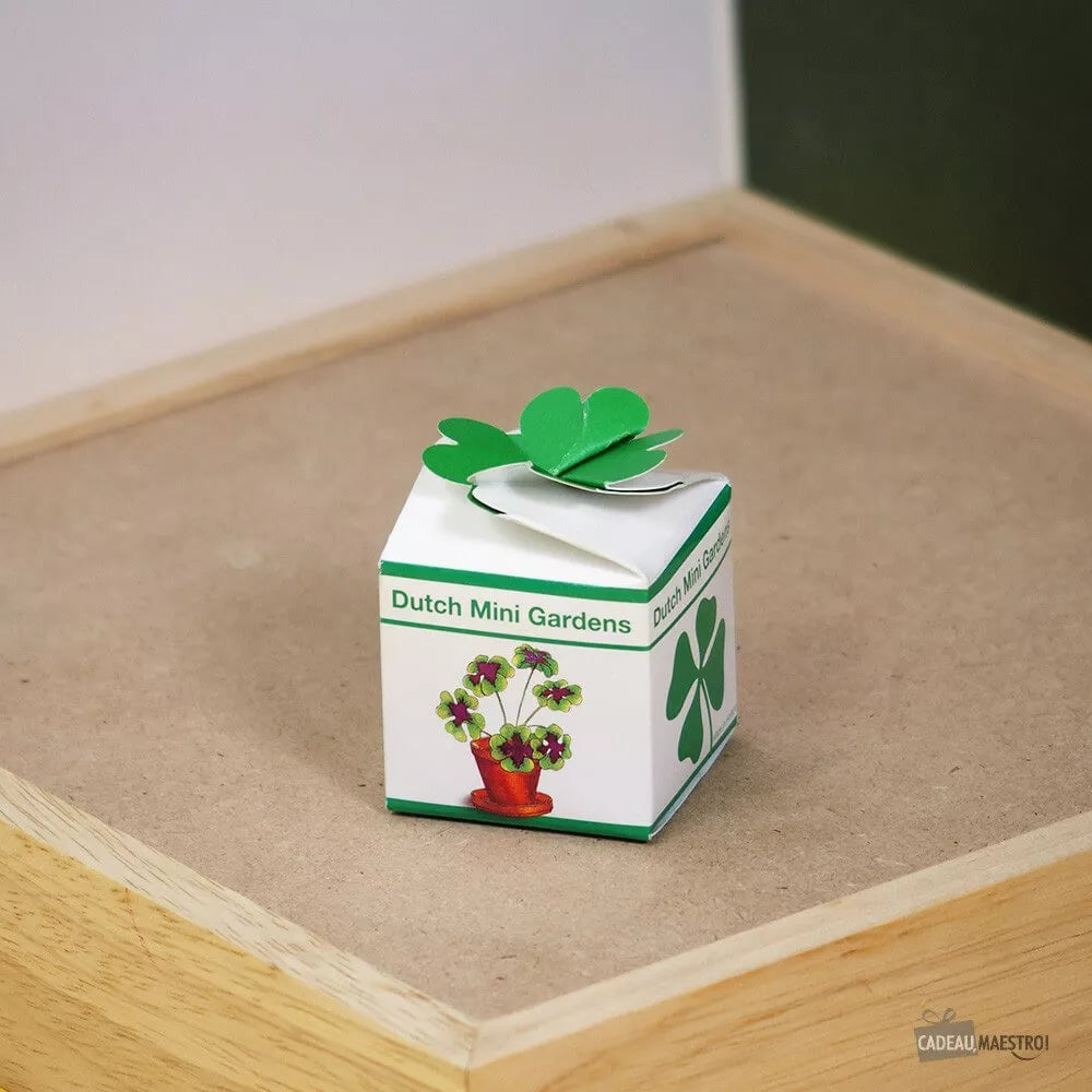 Trèfle à 4 feuilles à faire pousser - Un petit kit qui apporte chance