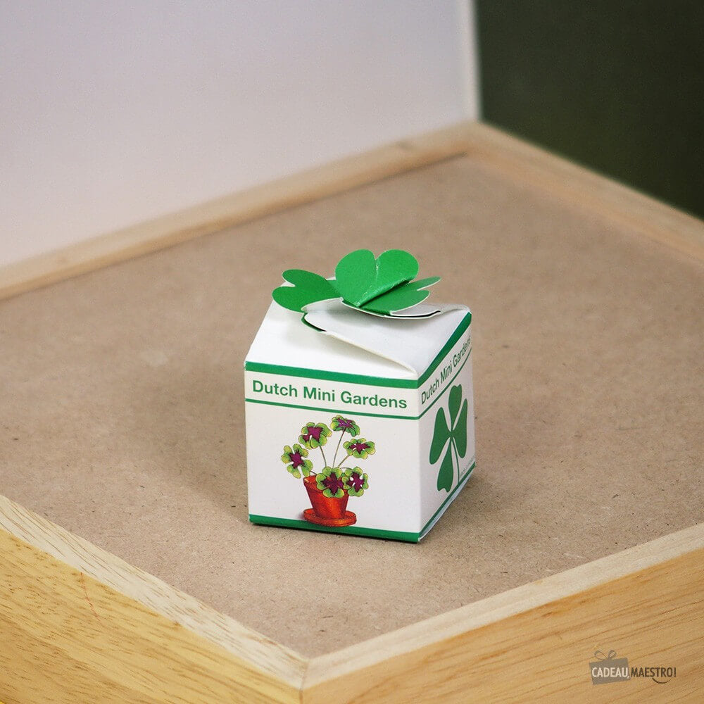 Trèfle à 4 feuilles - Kits de Plantation CadoMaestro