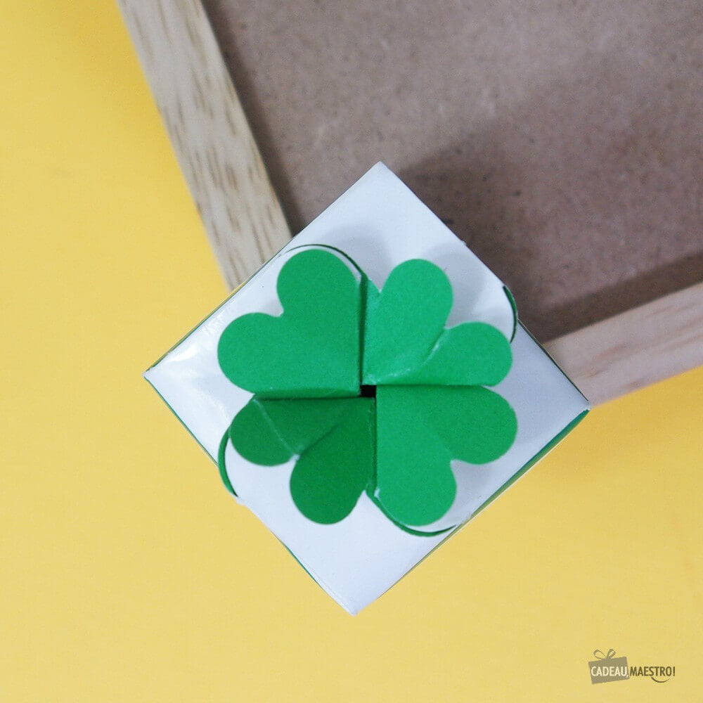 Trèfle à 4 feuilles - Kits de Plantation CadoMaestro