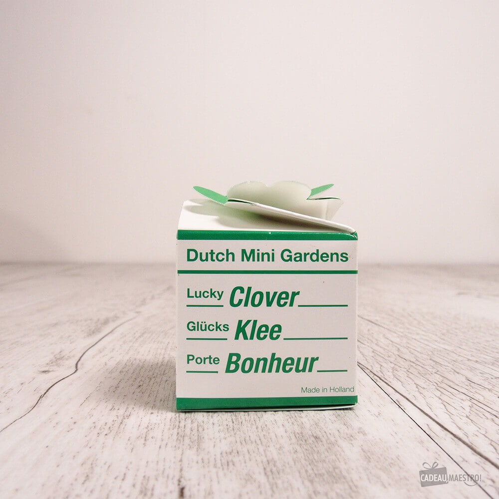 Trèfle à 4 feuilles - Kits de Plantation CadoMaestro