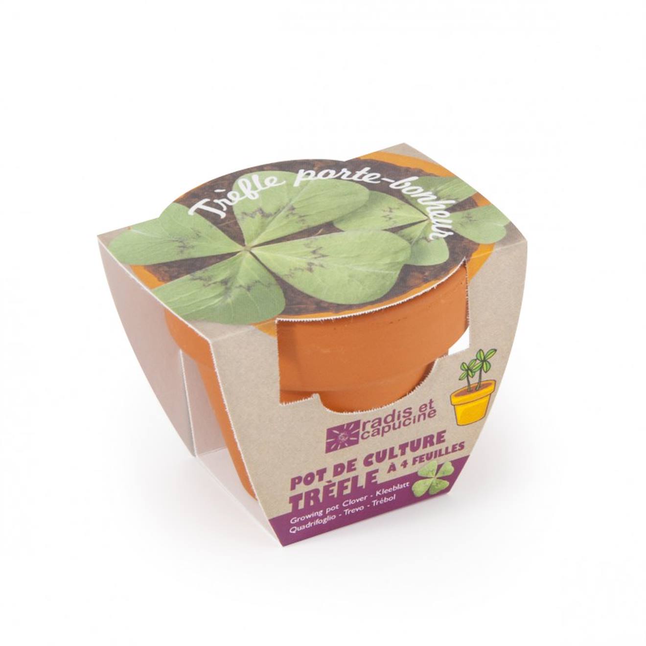 Trèfle à 4 feuilles en pot de culture vert