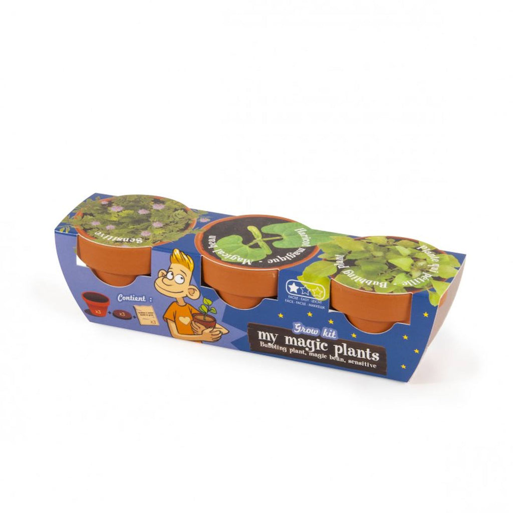 Trio de plantes magiques vert
