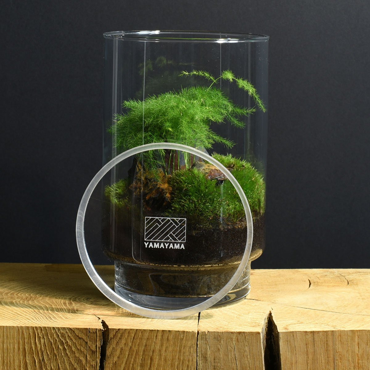 Terrarium DIY Yamayama