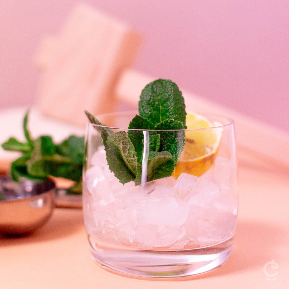 Ustensiles pour Glace Pilée - Cocktail