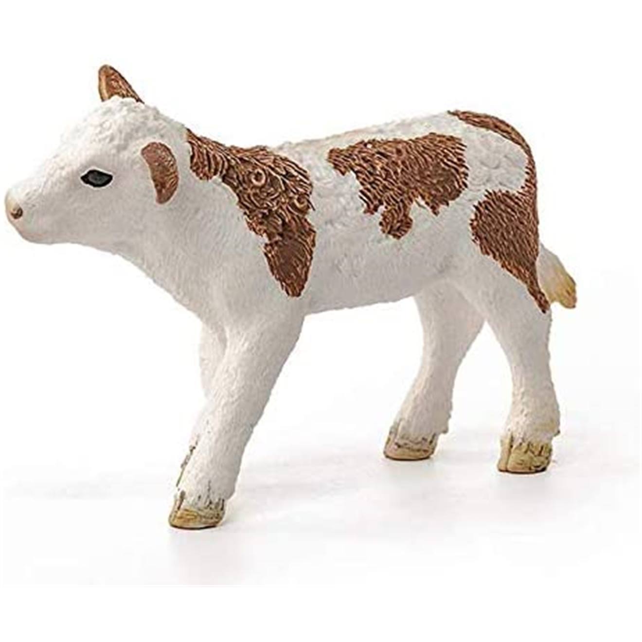 Veau simmental français beige et marron