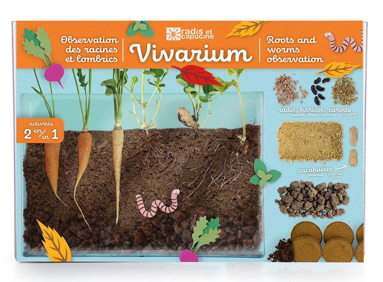 Vivarium observation racines et vers de terre marron