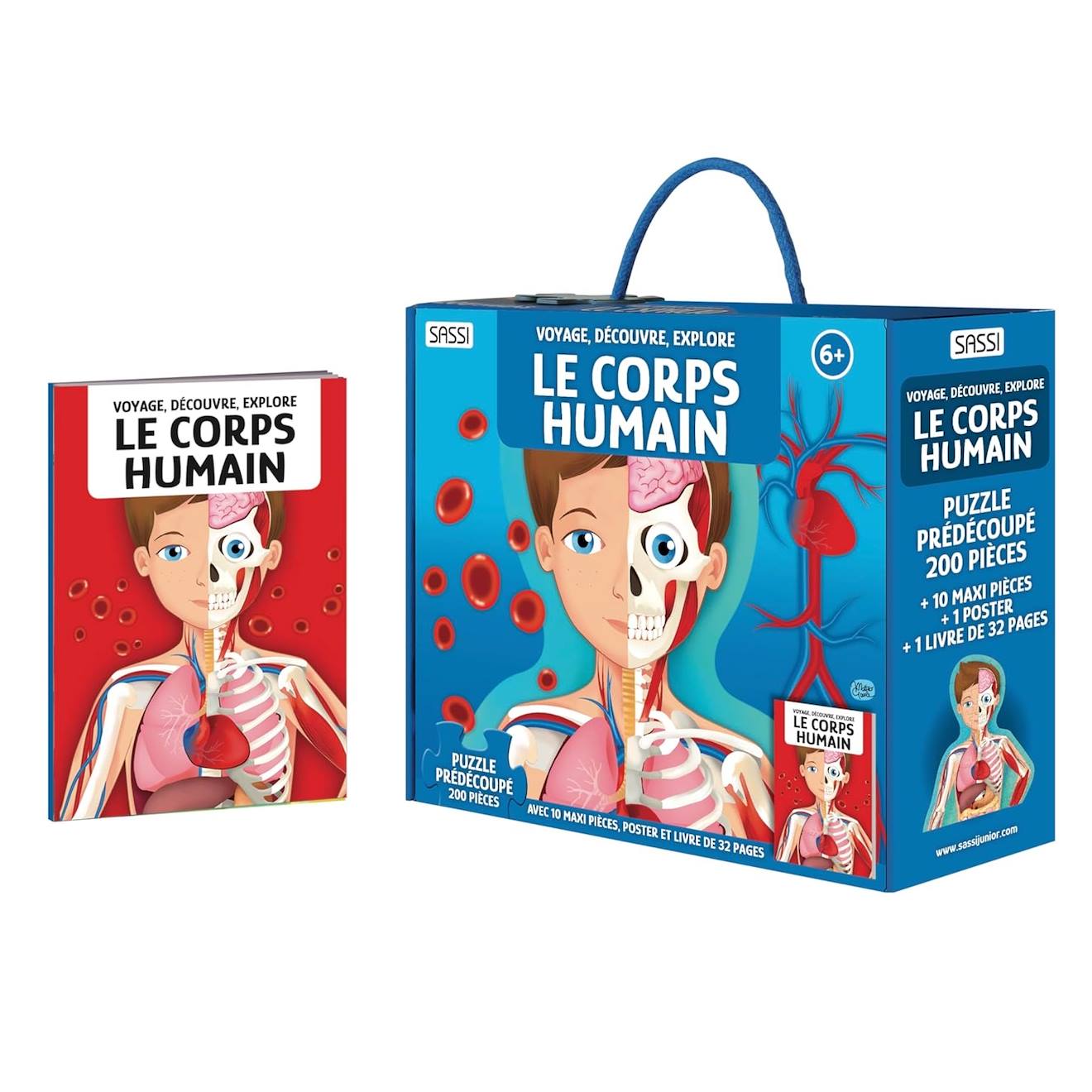 Voyage, découvre, explore - le corps humain bleu