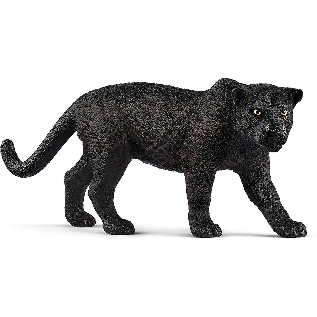 Wild life panthère noire noir