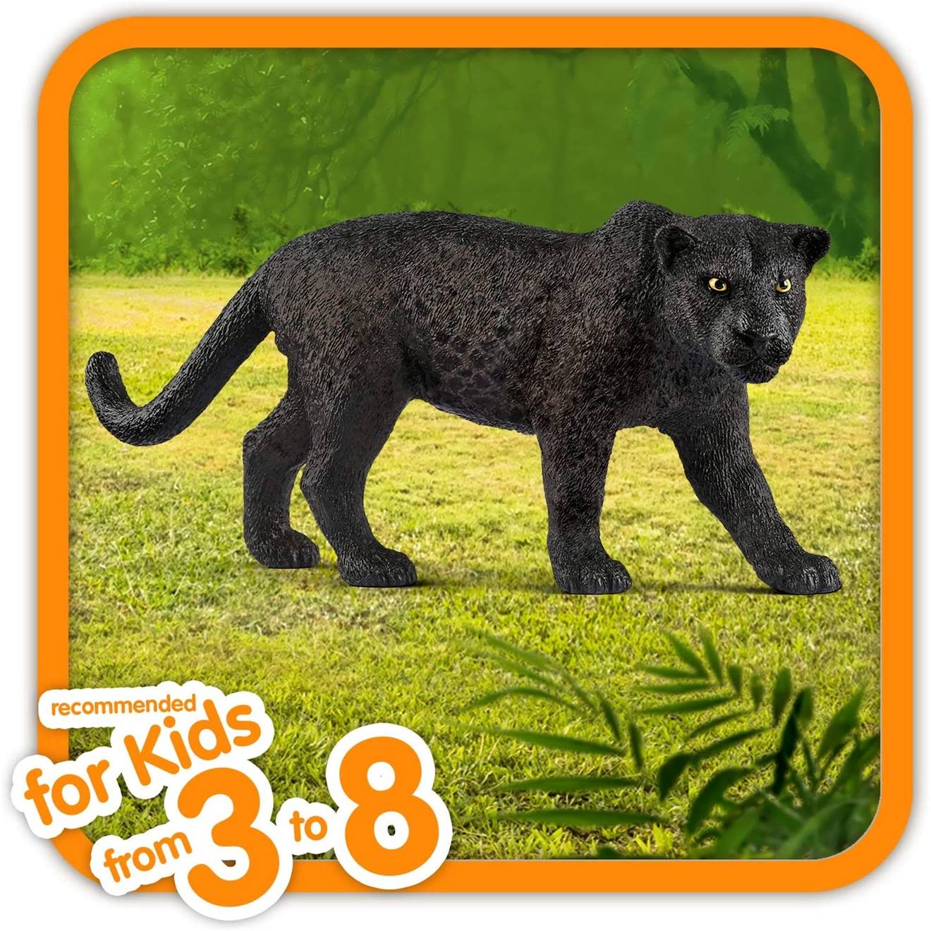Wild life panthère noire noir
