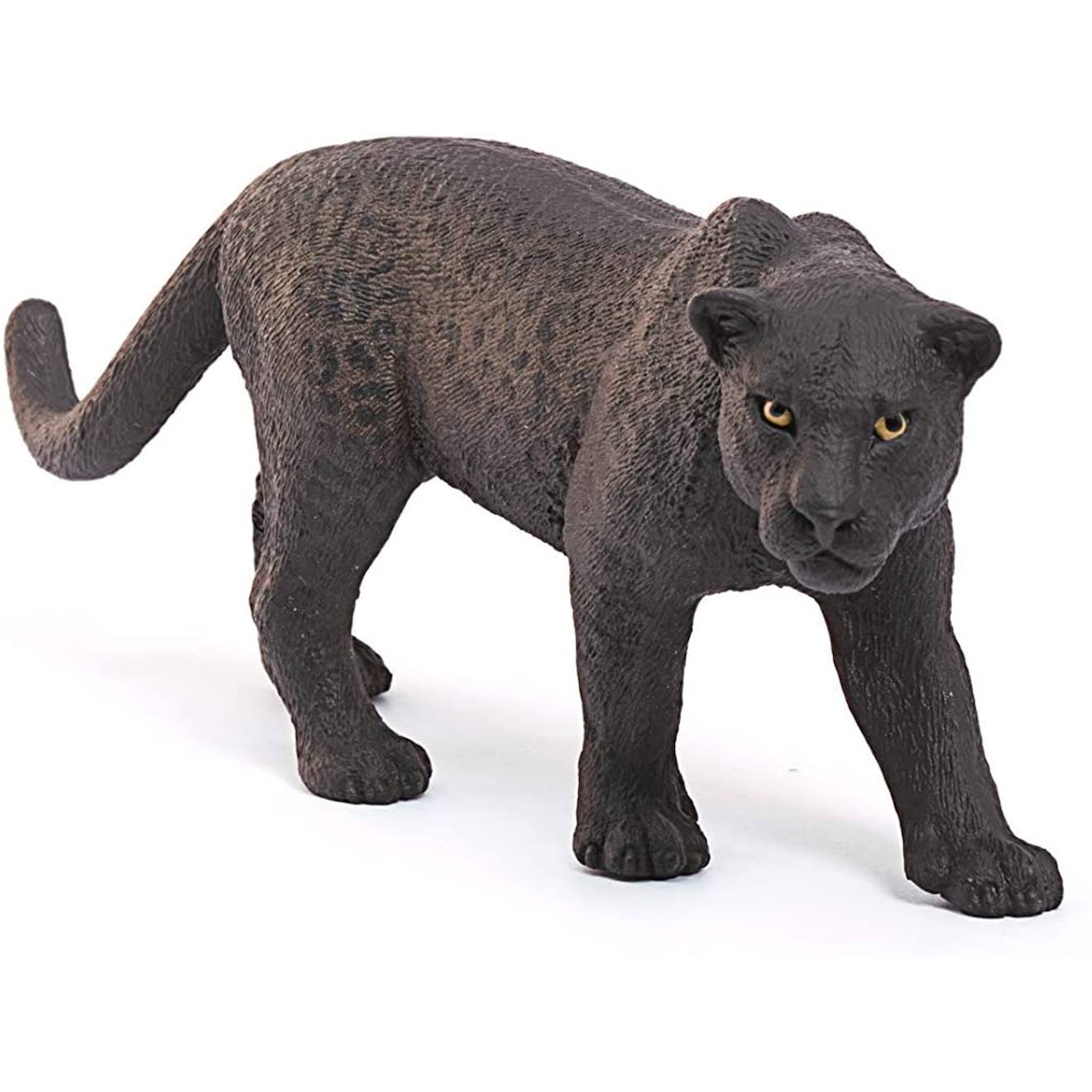 Wild life panthère noire noir