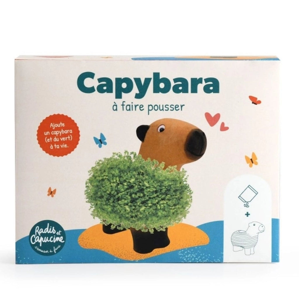 Capybara en terre cuite avec sa chevelure de chia