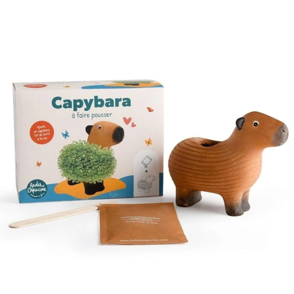 Capybara en terre cuite avec graines de chia, vue de face