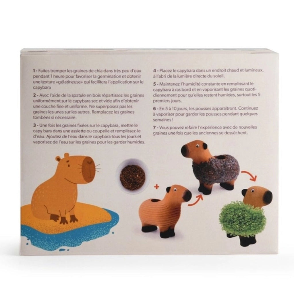 Capybara vegetal en terre cuite, gros plan